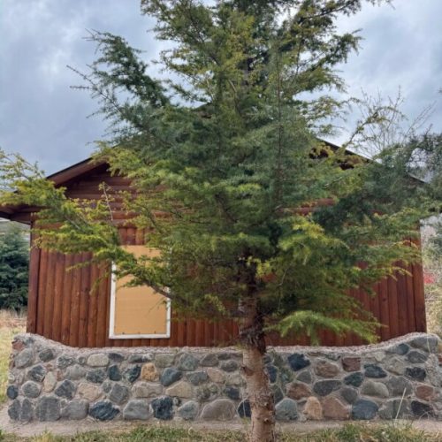 WhatsApp-Image-2025-08-18-at-18.35.21-2